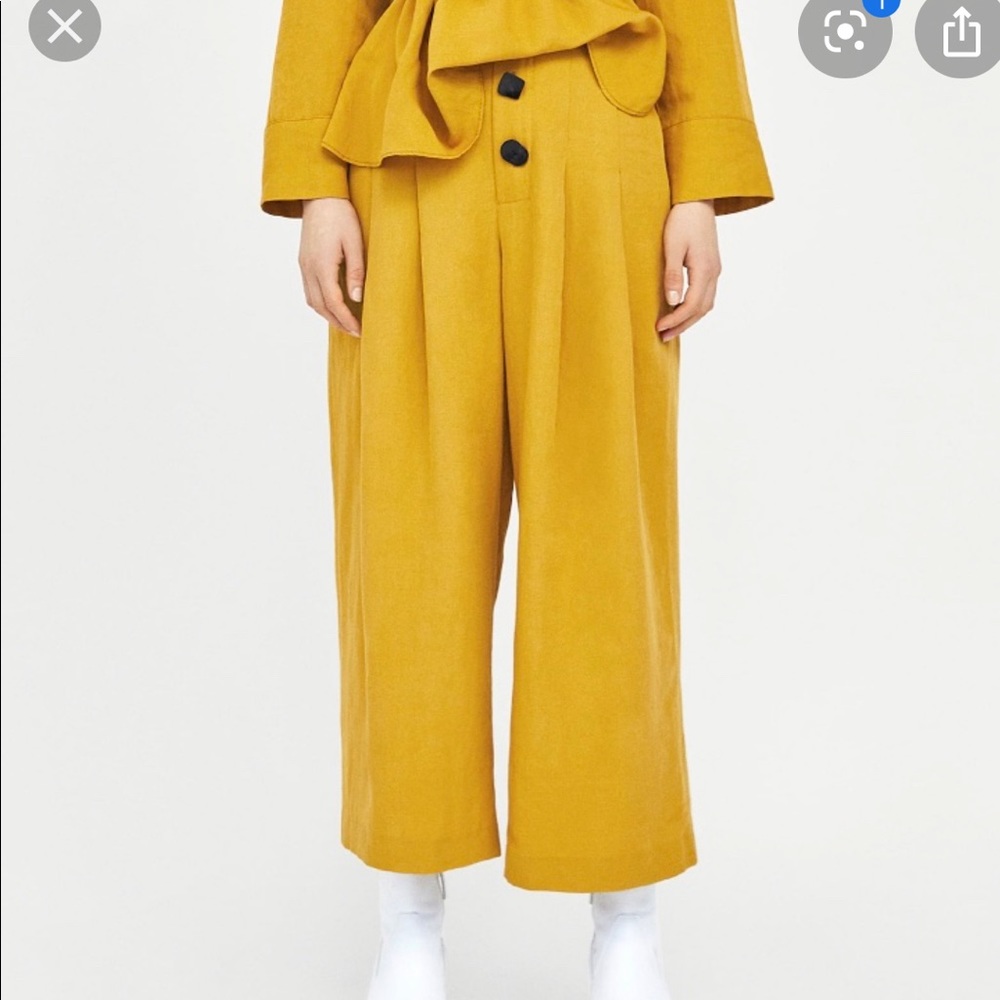 Bloggers Favorite Zara Cullotes